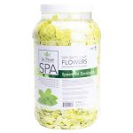 soap eycalyptus gallon 600x600 1