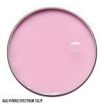 A&G HYBRID SPECTRUM TULIP SAMPLE