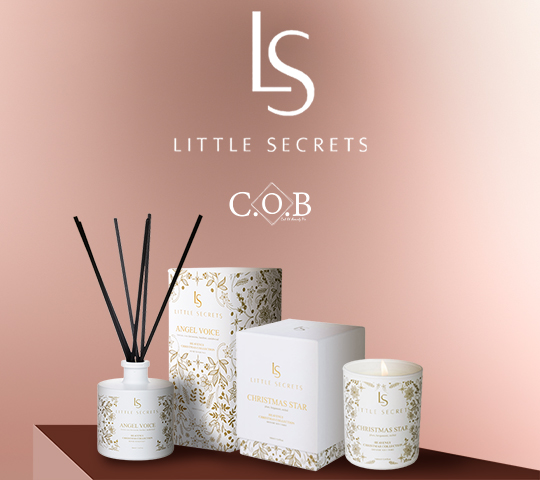 LITTLE SECRETS BANNER CHRISTMAS SMALL
