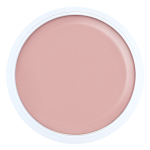 Acrygel Hybrid Pudre (NPJ)
